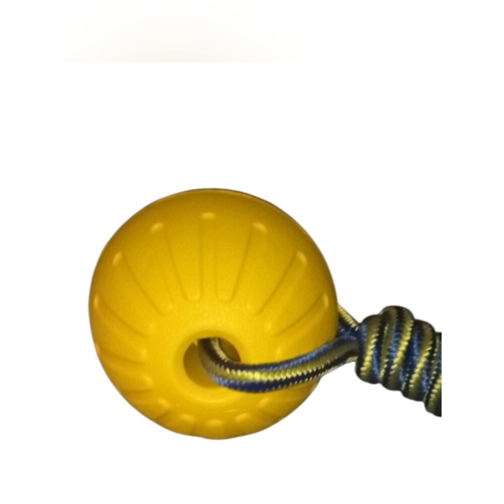 New Lightweight Floating Dog Toy With Rope